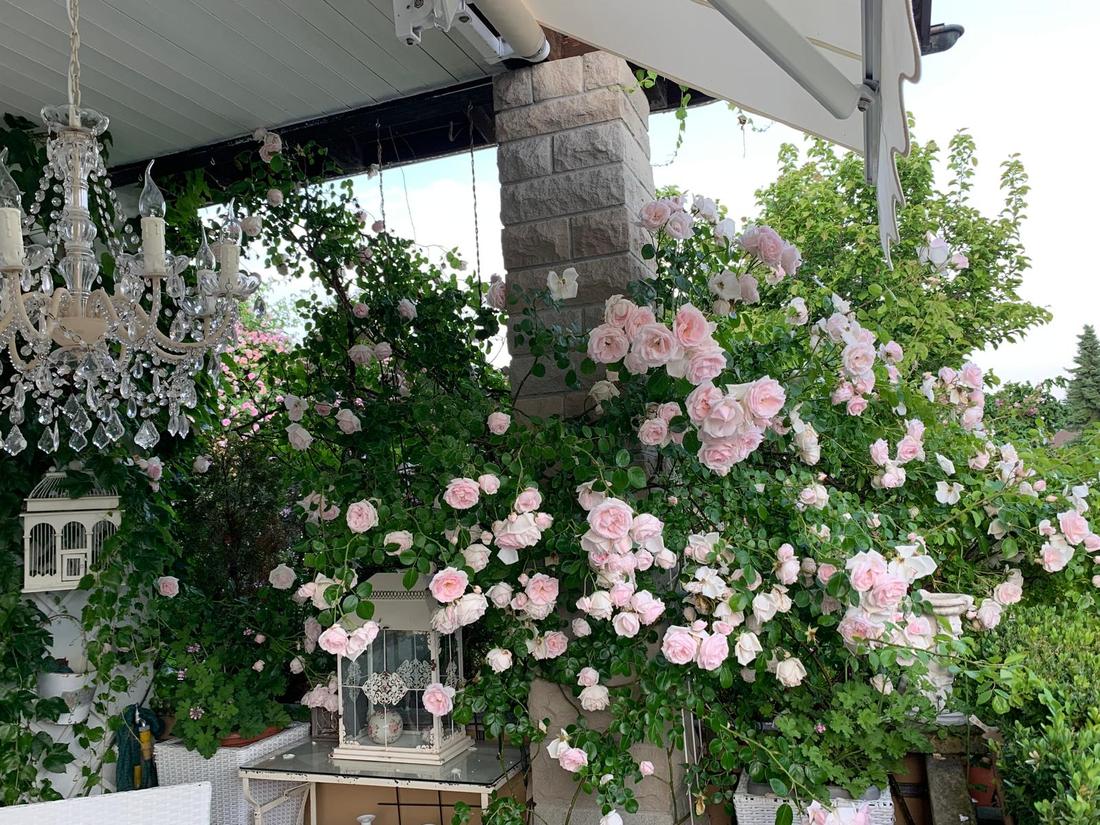 Gäste-Lounge im Garten